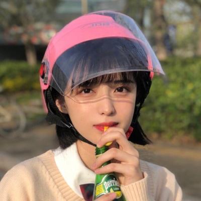 名侦探柯南业火的向日葵满v版下载